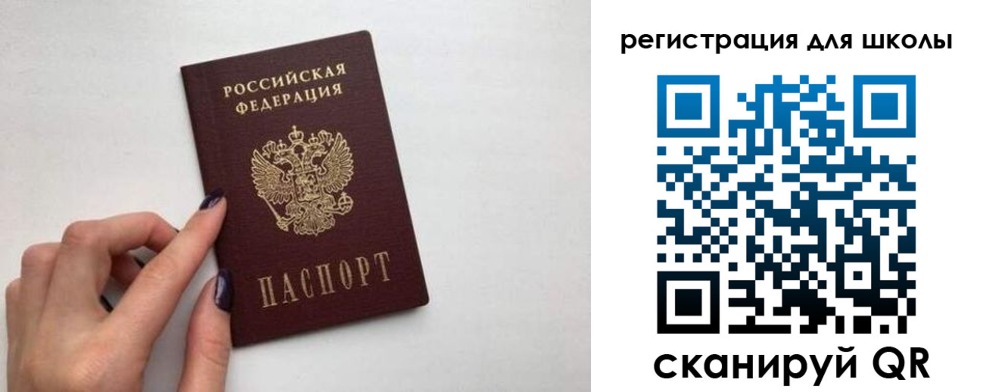прописка поиск в Ивантеевке